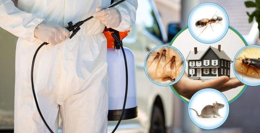 Milas Böcek İlaçlama