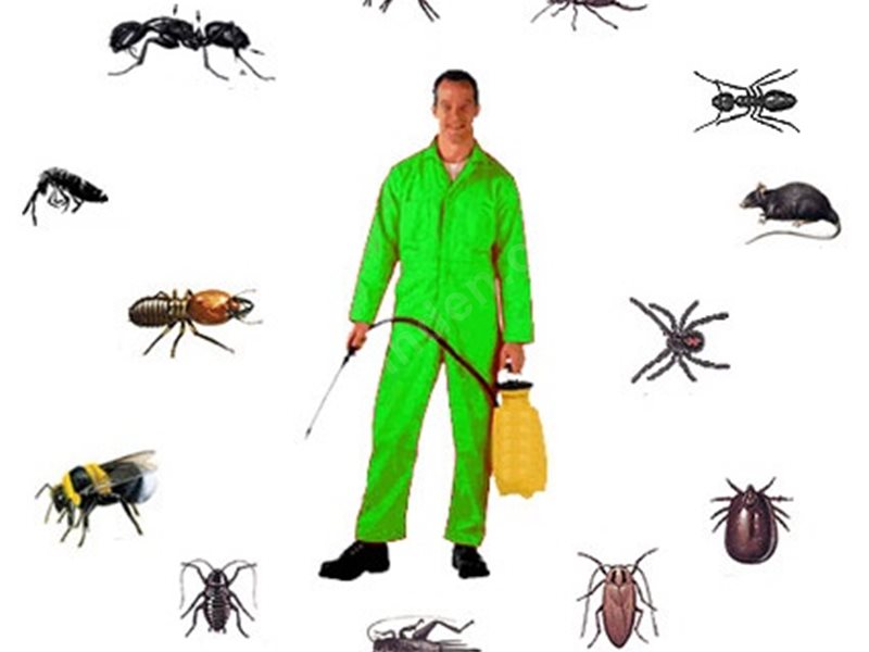 Milas Böcek İlaçlama